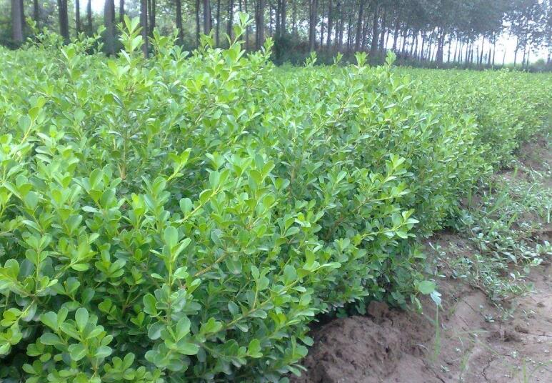 1644937466134459.jpg 2.jpg