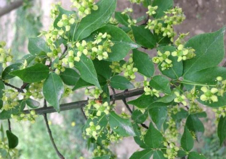 1644938450838121.jpg 1.jpg