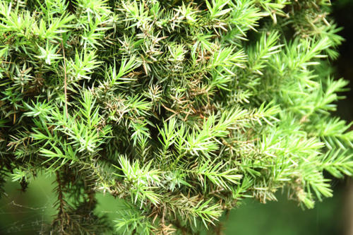 1645004883126915.jpg 1645004883126915.jpg