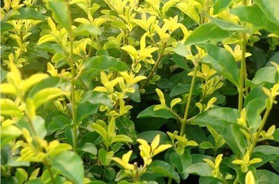 1645005701661925.jpg 1645005701661925.jpg