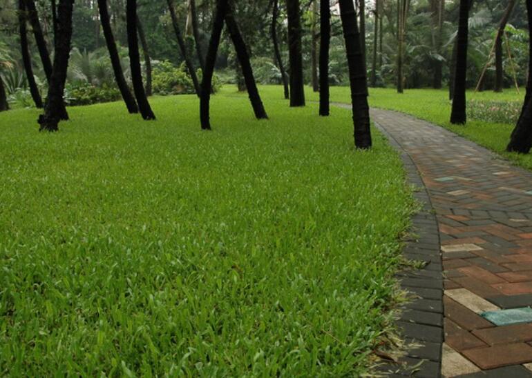 1645439744395446.jpg 1.jpg