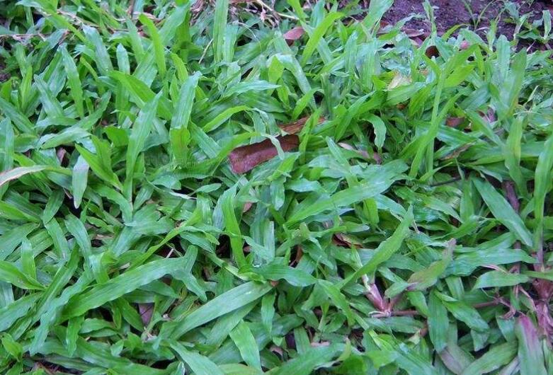 1645439754135219.jpg 2.jpg