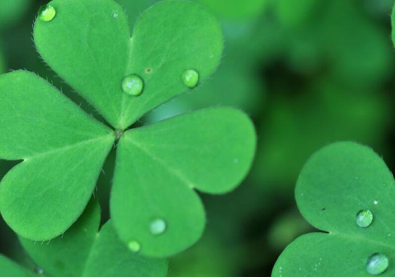 1645844424491055.jpg 1.jpg