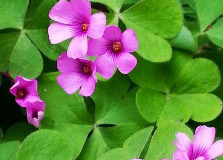 1646137626974395.jpg 3.jpg