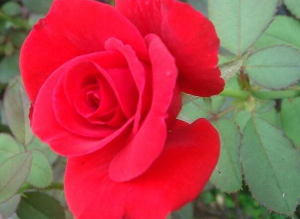 1646653674440073.jpg 1646653674440073.jpg