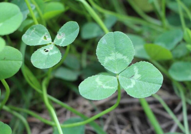 1646746094448117.jpg 1646746094448117.jpg