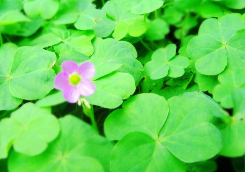 1646792268988860.jpg 1.jpg