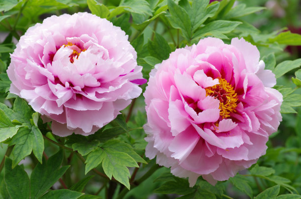 1646806439770296.jpg 1646806439770296.jpg