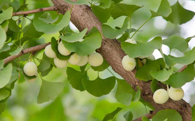 1646809657417267.jpg 1646809657417267.jpg