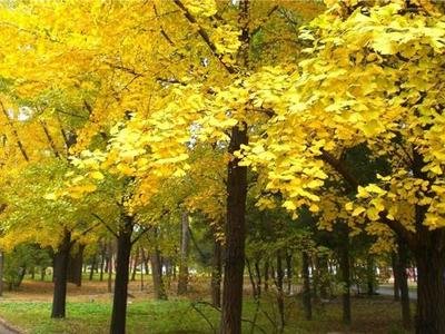 1646823407917197.jpg 1646823407917197.jpg