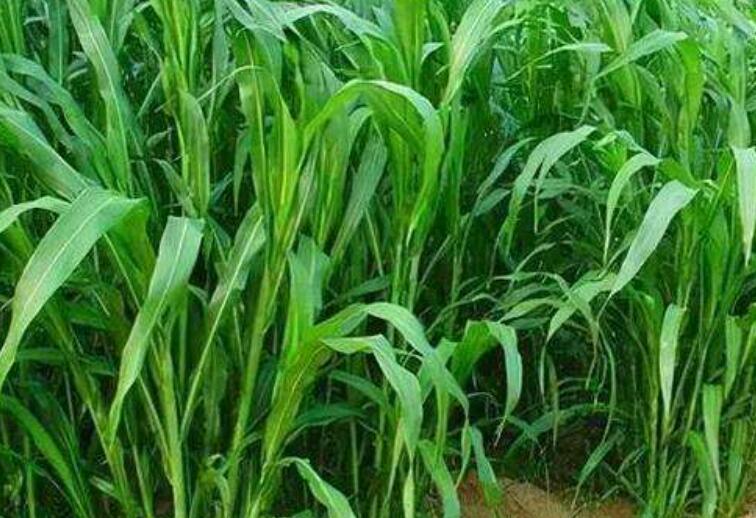 1646827495706564.jpg 1646827495706564.jpg