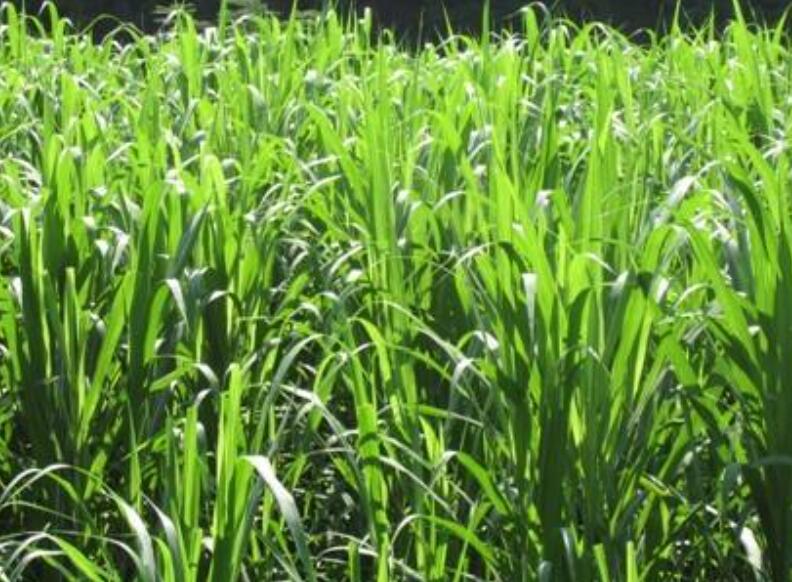 1646828076298083.jpg 1646828076298083.jpg