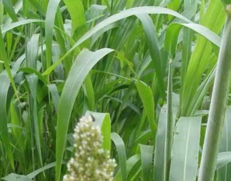 1646828084436070.jpg 1646828084436070.jpg