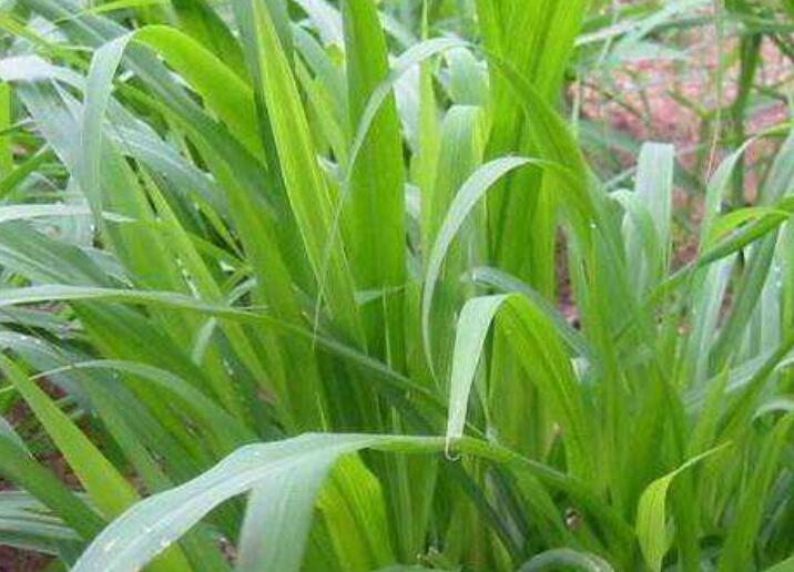 1646828097312981.jpg 1646828097312981.jpg