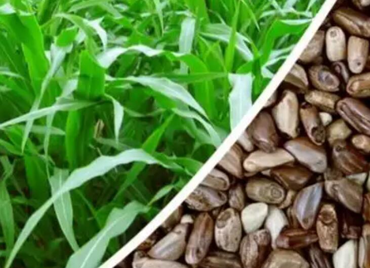 1647093647549796.jpg 2.jpg