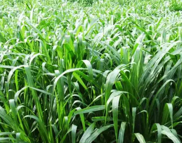 1647096728745796.jpg 2.jpg