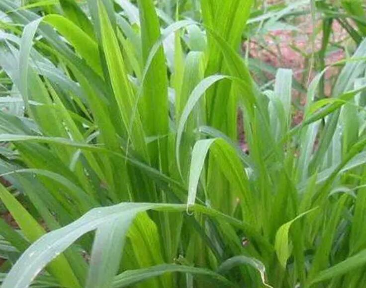 1647098141786042.jpg 2.jpg