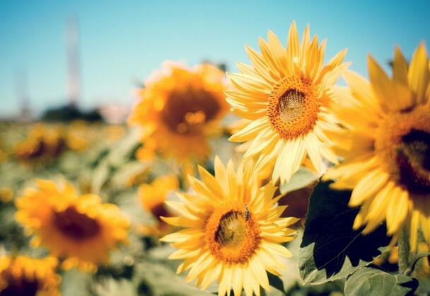 1648104064614791.jpg 1648104064614791.jpg