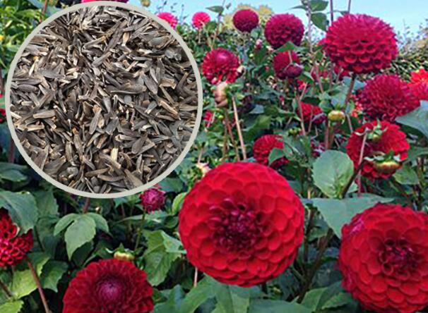 1648108847941459.jpg 1648108847941459.jpg