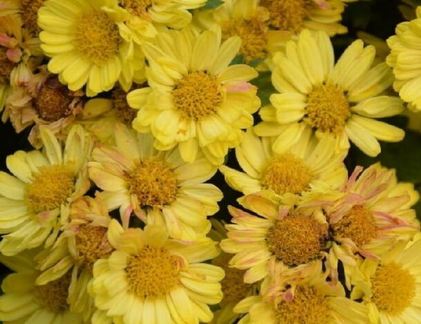 1648113904976445.jpg 1648113904976445.jpg