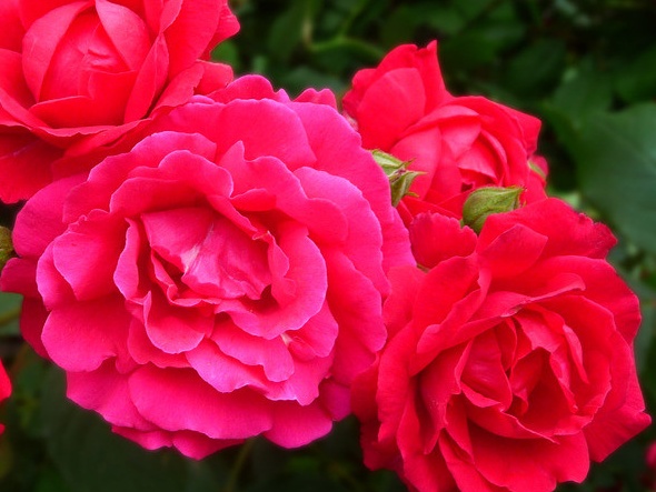 1648121066427230.jpg 1648121066427230.jpg