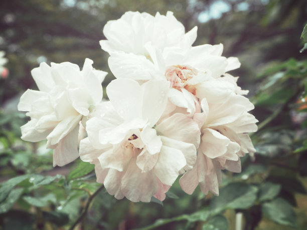 1648121085955406.jpg 1648121085955406.jpg