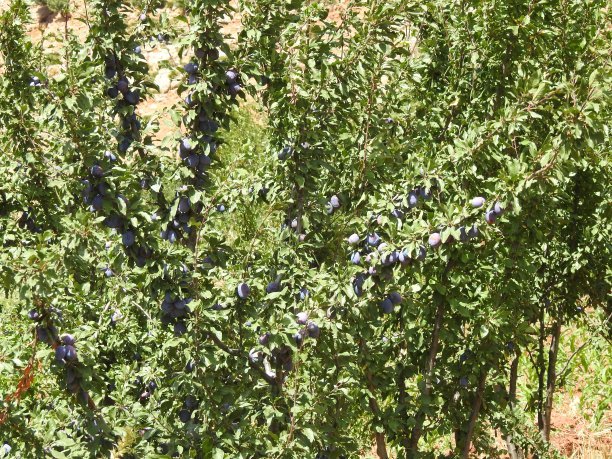 1648122257208379.jpg 1648122257208379.jpg