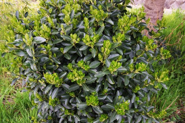 1648122339351956.jpg 1648122339351956.jpg