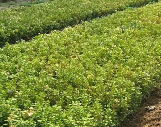 1648182000135231.jpg 1648182000135231.jpg