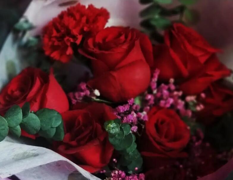 1648184079828743.jpg 1648184079828743.jpg