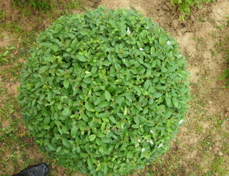 1648626253654711.jpg 1648626253654711.jpg