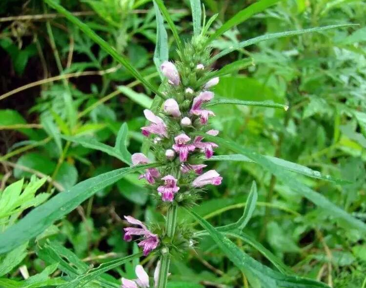 1649247833754825.jpg 1649247833754825.jpg