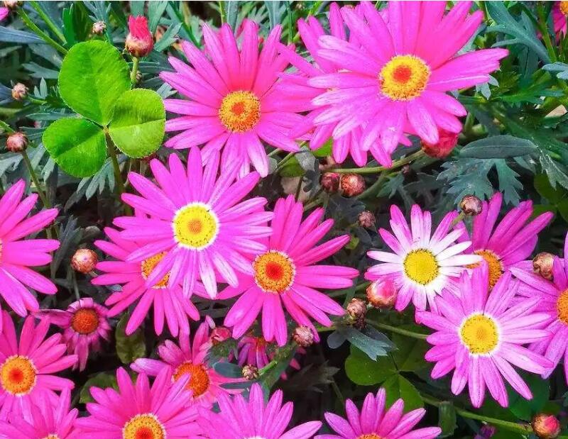 1649294207311739.jpg 1649294207311739.jpg