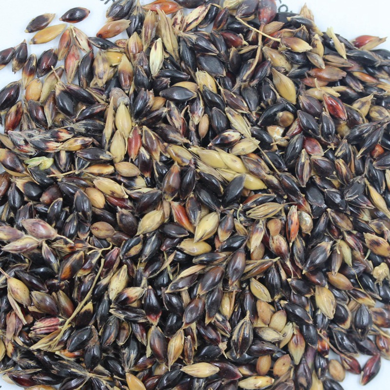 1649294636990708.jpg 1649294636990708.jpg