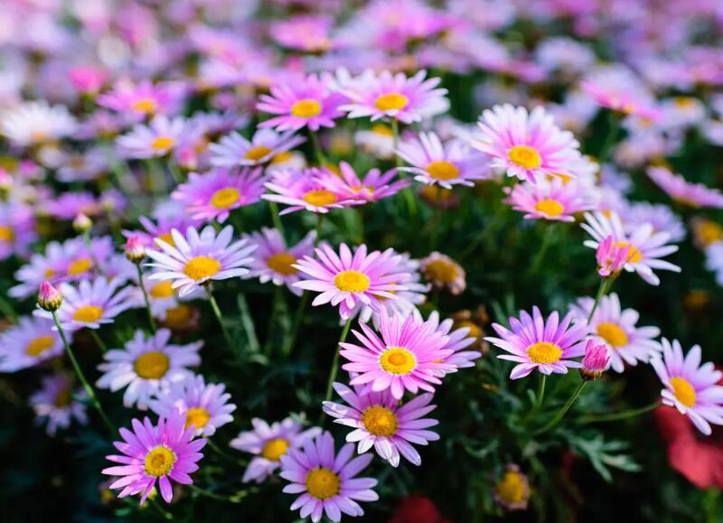 1649325667630701.jpg 1649325667630701.jpg