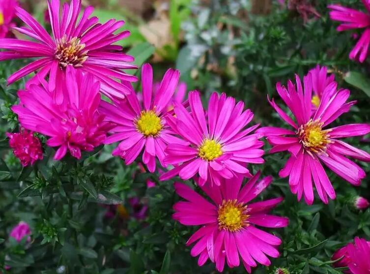 1649422789251546.jpg 1.jpg