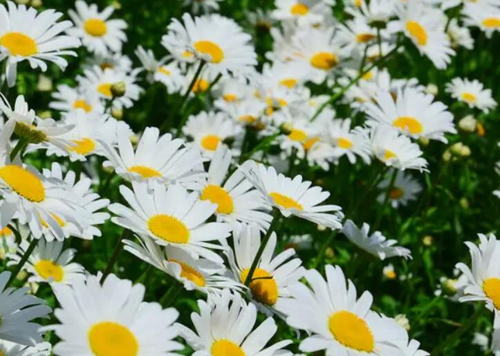 1649423316593238.jpg 2.jpg