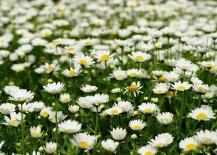 1649423325251315.jpg 3.jpg