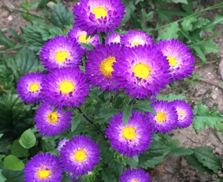 1649425001158804.jpg 1.jpg