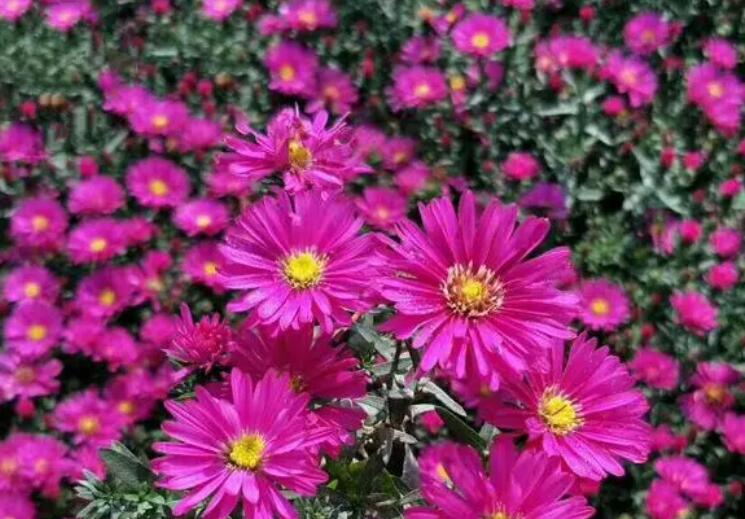 1649425038828792.jpg 2.jpg