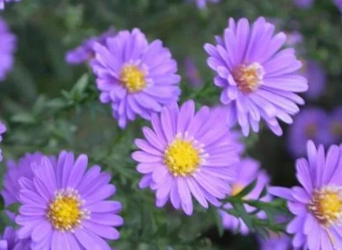 1649425047541088.jpg 3.jpg