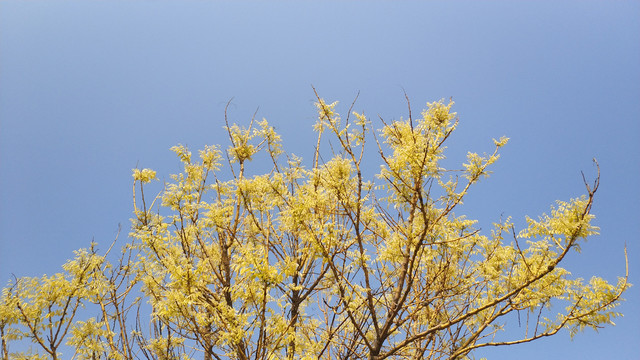 1649585997161515.jpg 1649585997161515.jpg