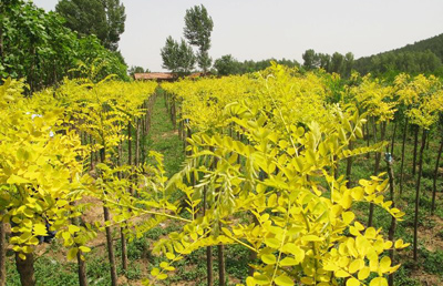 1649586018170174.jpg 1649586018170174.jpg