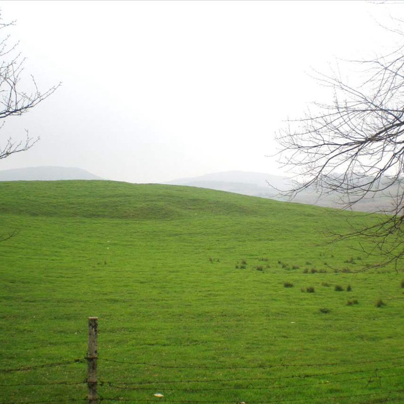 1650343579755604.jpg 1650343579755604.jpg