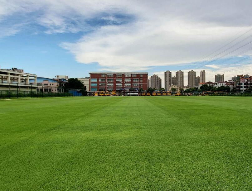 1650347306381554.jpg 1650347306381554.jpg