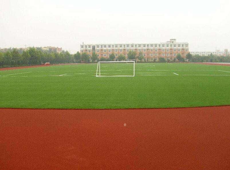 1650347306497904.jpg 1650347306497904.jpg