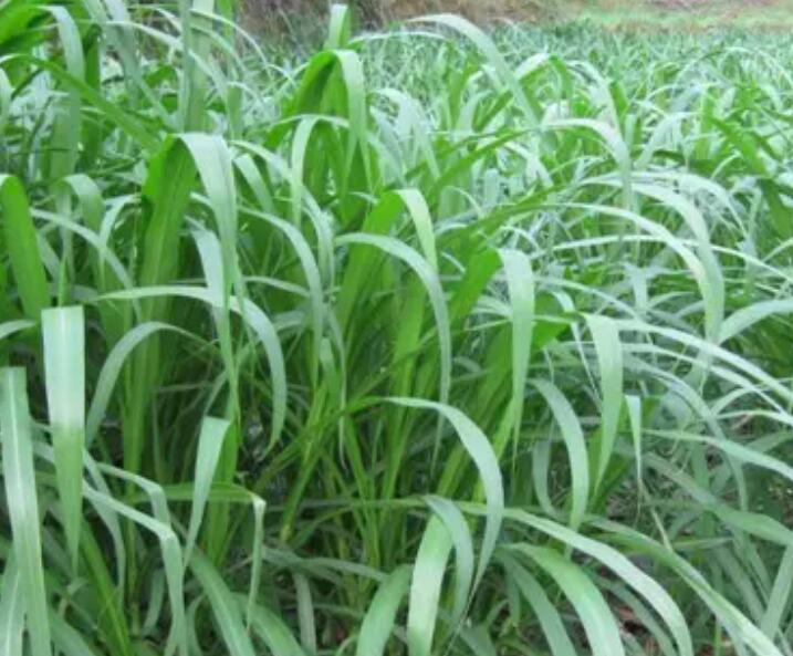 1650378847798368.jpg 2.jpg