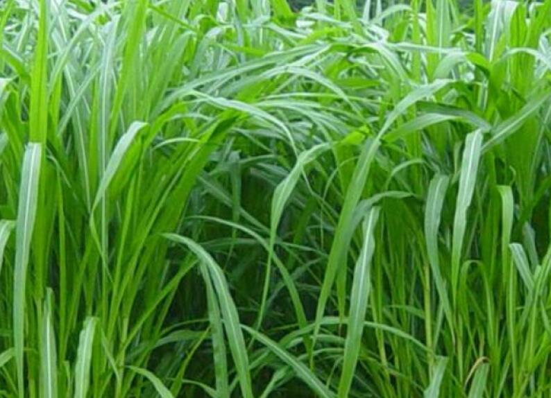 1650379488101545.jpg 2.jpg