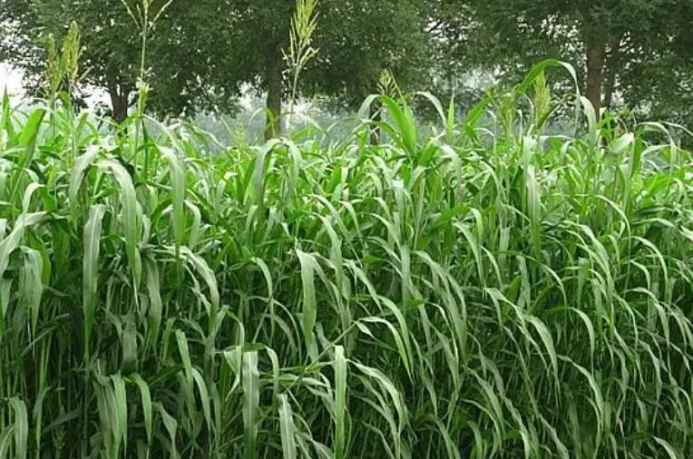 1650630088949913.jpg 1650630088949913.jpg