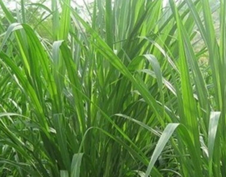 1650892073500942.jpg 2.jpg